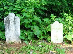 left-one
