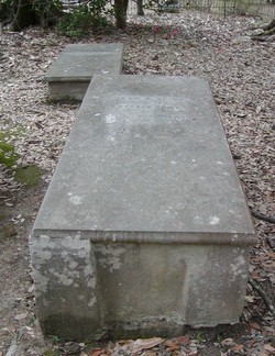 left-one